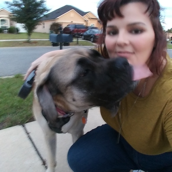 Meet your Posher, Shannon - Picture 3 of 6